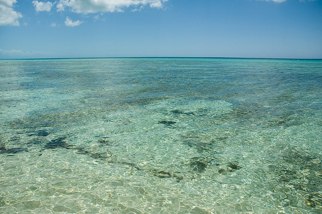 The Caribbean